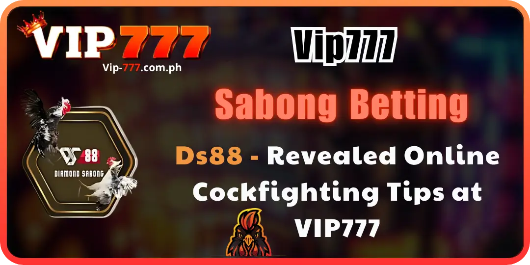 Ds88 - Revealed Online Cockfighting Tips at vip777